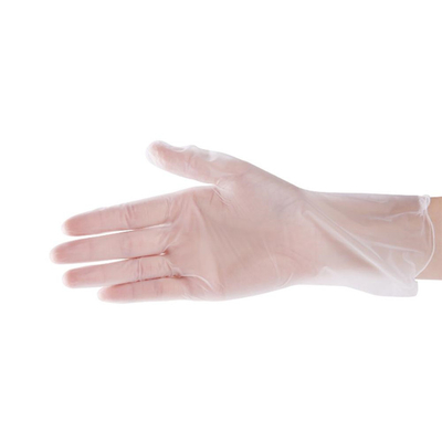 Multi Purpose Disposable Vinyl Gloves Powdered Or Powder Free Type Waterproof